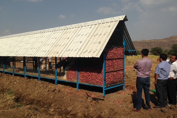 New Published Paper! ICA Helps Small Farmers Reduce Food Waste in India